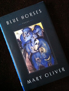 Blue Horses poetry book